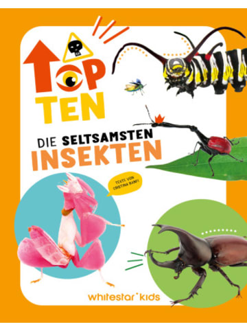 Buch - Top Ten die seltsamsten Insekten