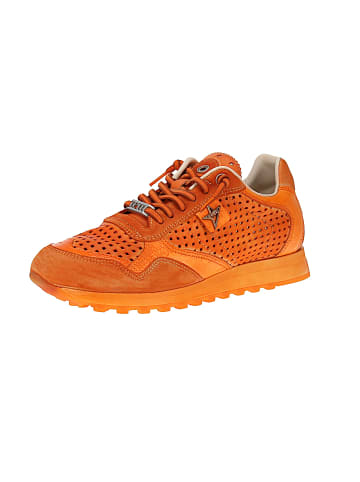 Sneaker low C-848 V26 in Orange
