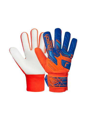 Torwarthandschuhe Attrakt Starter Solid Junior in 2290 shocking orange/blue
