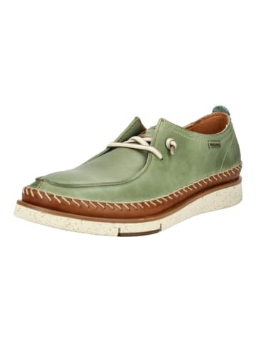 Slipper Mint