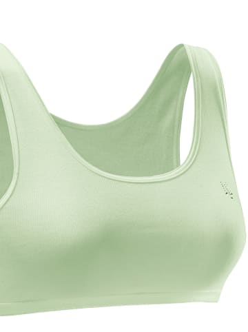 Bustier in grün + koralle + blau