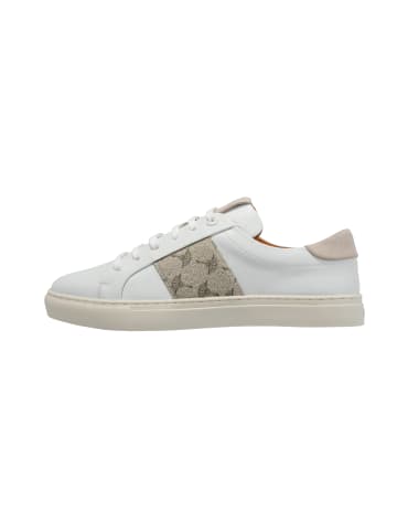 Sneaker 'Mazzolino Lista 1.0 Coralie in Beige'