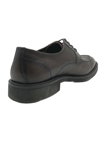 Elegante Schnürschuhe in Braun