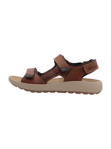 Trekkingsandalen in Braun