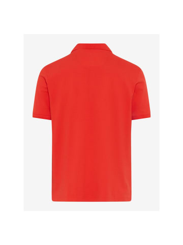Polo in heat
