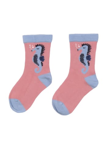 Socken 2 Paar Socken aus Baumwolle (Bio)