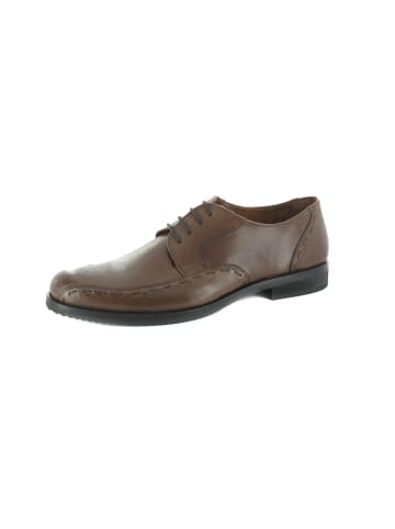 Business-Schuhe  in Braun