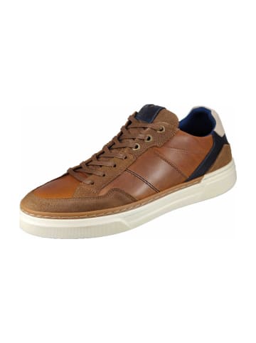 Klassische Schnürschuhe in Braun