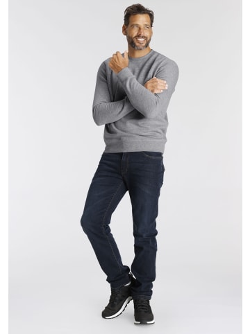 Sweatshirt in hellgrau melange