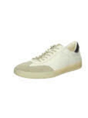 Sneaker Low in weiß