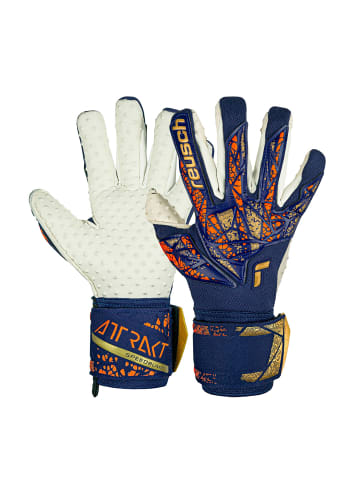 Torwarthandschuh Attrakt SpeedBump in 4410 premium blue/gold