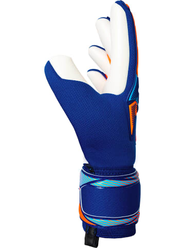 Torwarthandschuhe Attrakt Freegel Advance in 4129 sharp blu/shock orang