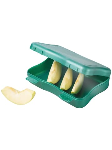 Brotzeitdose "Wave" in transparent-milchig - 600 ml