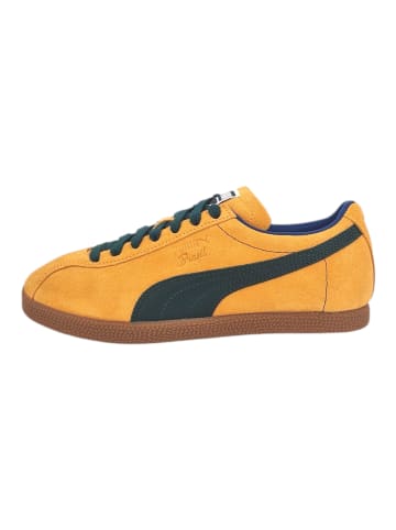 Sneaker Brasil Tangerine in Orange