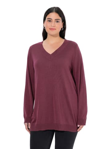 Pullover in dunkle beere