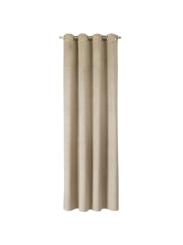 Ösenvorhang VELVET SIGNATURE in Beige