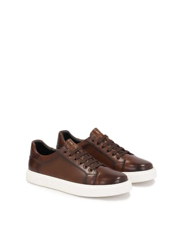Sneaker Low in Braun