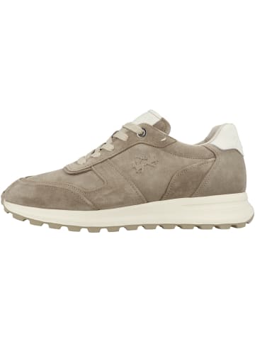 Sneaker low LFM261 in hellbraun