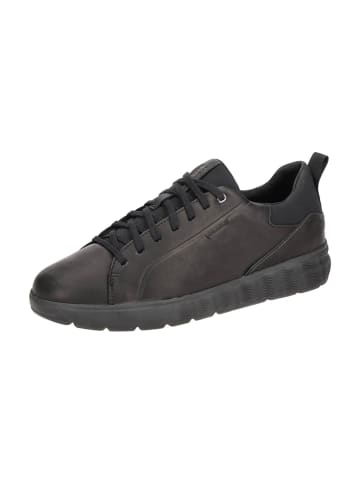 Sportliche Schnürschuhe in Schwarz