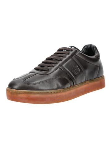 Sneaker ALFIE 1 Braun