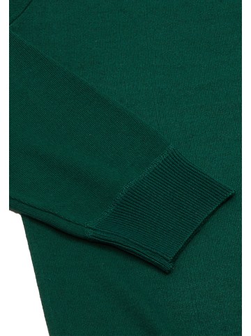 Herren Pullover in Grün