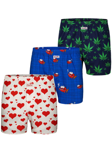 Boxer Motiv Print Mix in Herzen, Hanf, Piranha