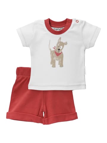 Babysets Little Paw in multicolor