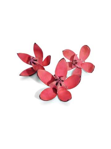 3er Set getrocknete Wildlilien in fuchsia