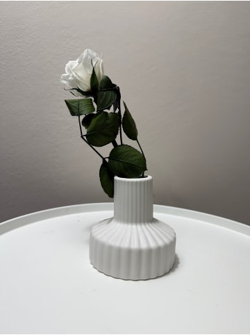 Konservierte/gefriergetrocknete, Rosen in Weiß - (H) 30 cm