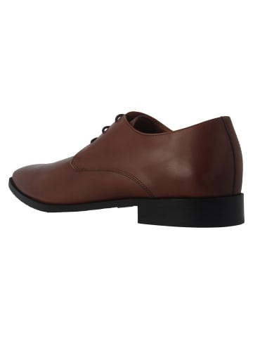 Businessschuhe  in Braun