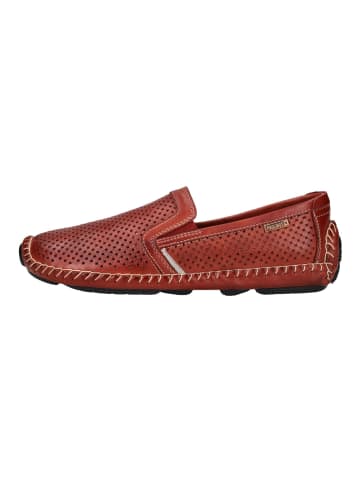 Slipper Rot