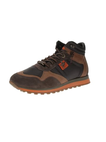Sneaker high C-1048 in Braun