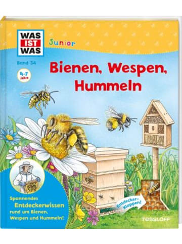 Buch - WAS IST WAS Junior Band 34 Bienen, Wespen, Hummeln