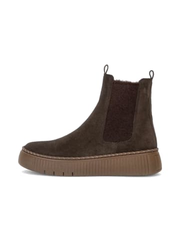 SHOES "Chelsea Boot" in mocca(El. texture)