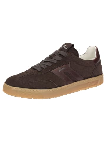 Sneaker Tedroso-713 in dunkelbraun