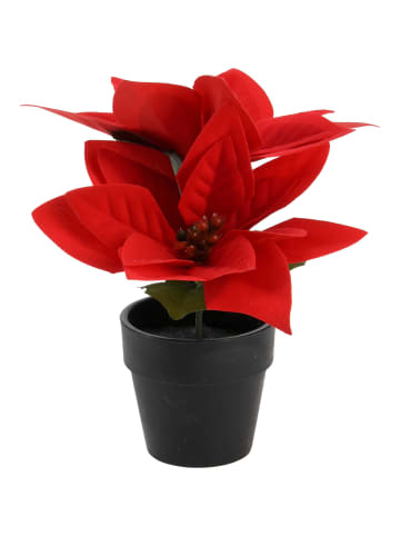 Künstlicher Weihnachtsstern im Topf in Rot, 18 cm