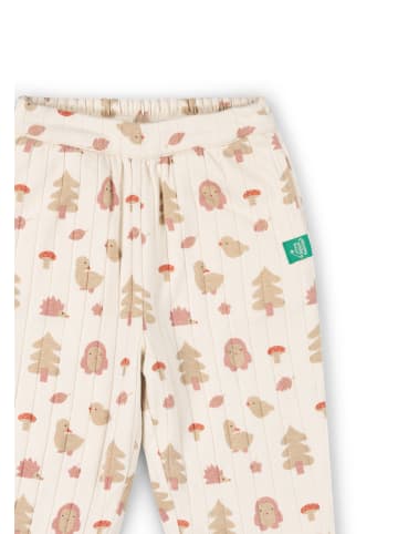 Bequeme Bio-Hose in verschiedenen Farben