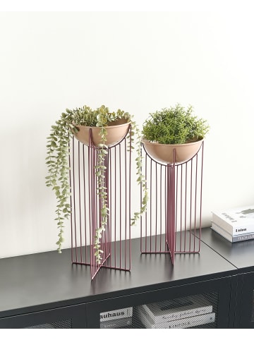 2er-Set Indoor Blumentopf FICARIA in Rosa