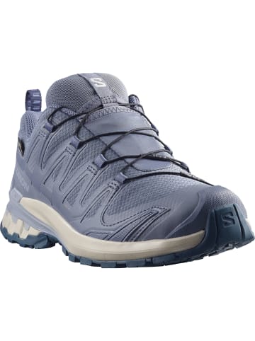 Trailrunning.-Schuh XA PRO 3D V9 GTX in grisaille/tradewinds/spellbound