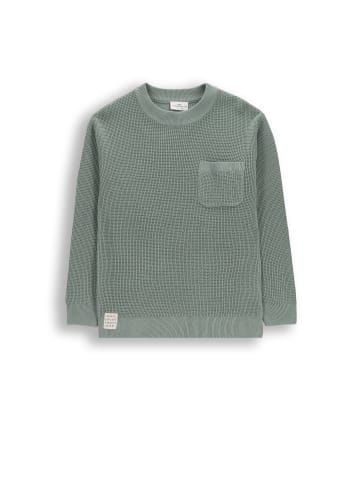Strickpullover in grün