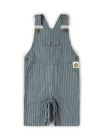 Dungaree Shorts in Navy