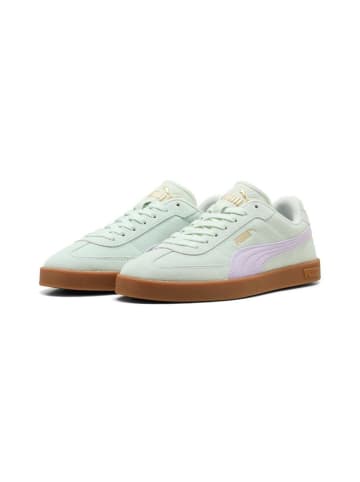 Sneaker "Puma Club II Era Suede" in Grün