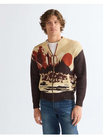 Strickjacke Full Zip in Desert Scenic