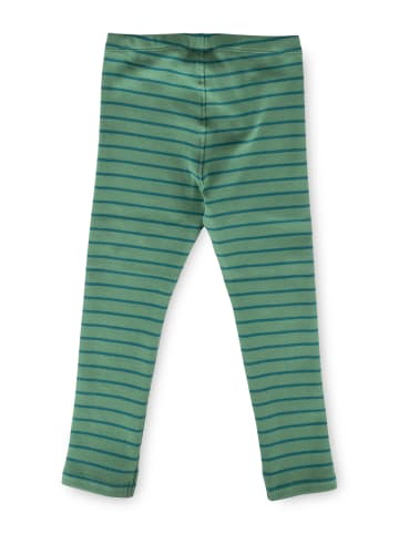 Leggings in grün