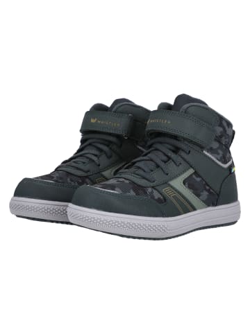 Sneaker Casou in 3065 Scarab
