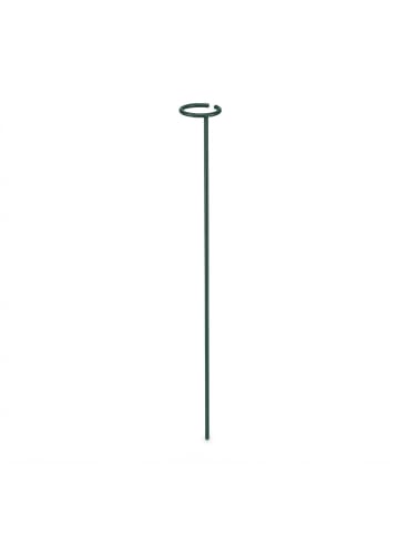 6 x Pflanzstäbe in Dunkelgrün - 60 cm