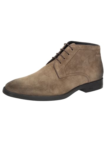 Stiefelette Foriolo-710-H in braun
