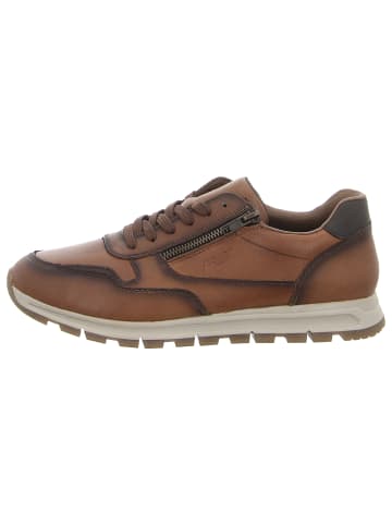 Sportlicher Schnürschuh in braun