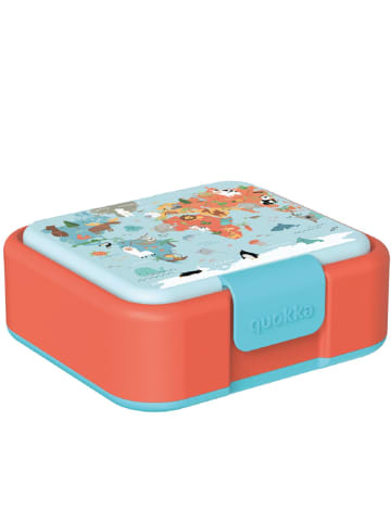 Quokka Twist Kids Brotdose Doppelwand Kinder Lunchbox 4-Fächer in Mehrfarbig