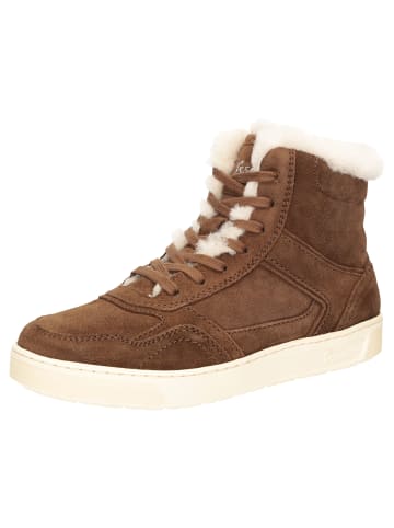 Stiefelette Maites sneak 006-LF in braun